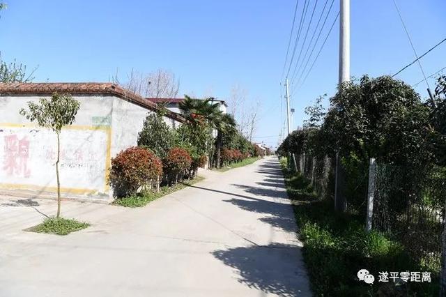 美丽乡村——遂平县沈寨镇