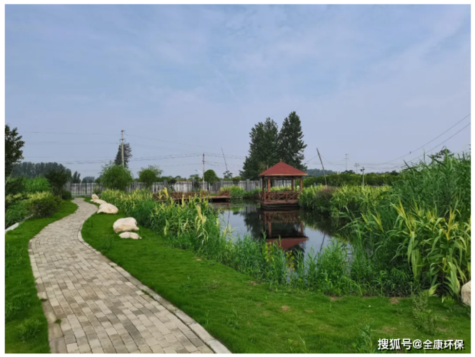 界首人工湿地公园实景图