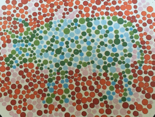 参加驾考之前还要对是否是色盲进行检验