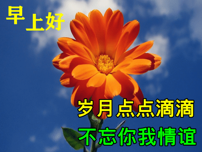 短信问候早早到:捎上我的祝福,怀揣你的自信,收获美好的一天,早安!