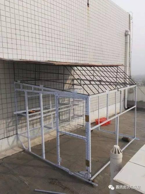 图集| 单位楼顶偷建鸽舍 废料也出精致活