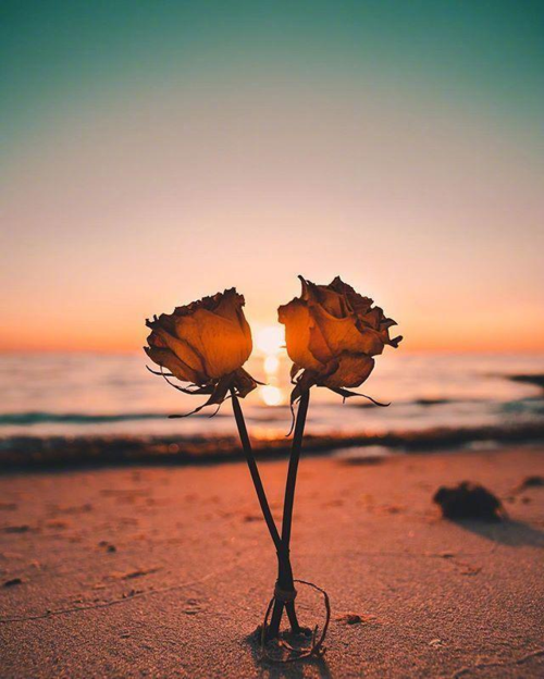 致自己的唯美句子,很潮很走心,让人爱不释手!