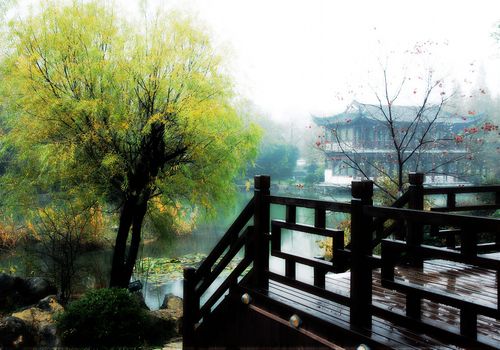 标题:秋雨蒙蒙彭祖园