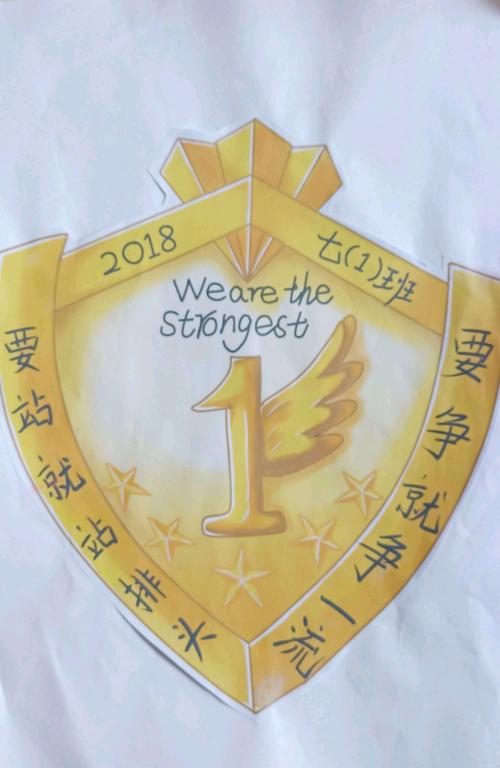 梦想在此绽放光芒(七一班展示)