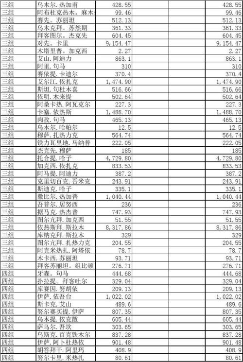 债务明细表 113—内部往来