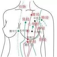 健康 正文  直接通过乳房的经络有9条【肺经,心包经,心经,任脉,肾经