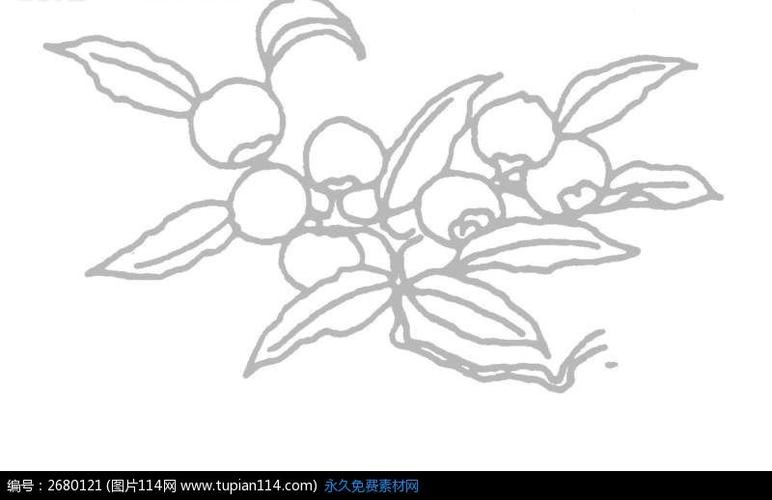 灰色果实与树叶线条画ai矢量文件