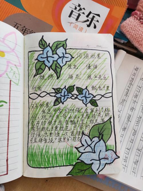 摘抄本摘抄好词佳句,这样设计版面,不但积累知识,更是