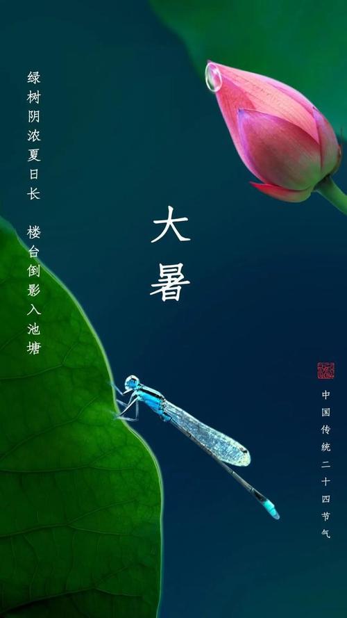 大暑图片配图大全大暑朋友圈文案句子大暑问候祝福语