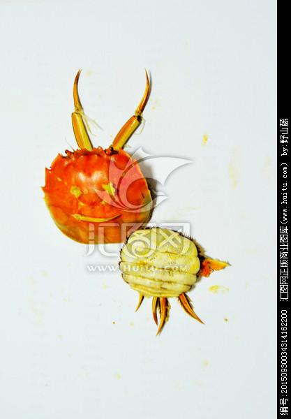 蟹脚 蟹钳 蟹类 大闸蟹 香辣蟹 水产品 甲壳生物 美食美味 创意螃蟹