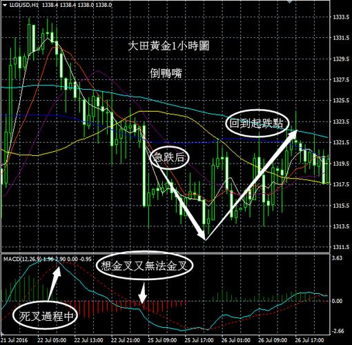 倒鸭嘴:在macd死叉中运行时,偶尔会发生将要金叉又无法金叉,快速慢速