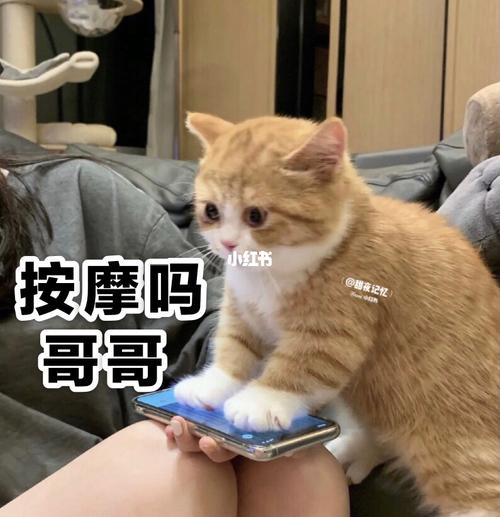 按摩手法肥肠好_肥肠_按摩_表情包_北京路_薯条_表情包分享_素材_表情