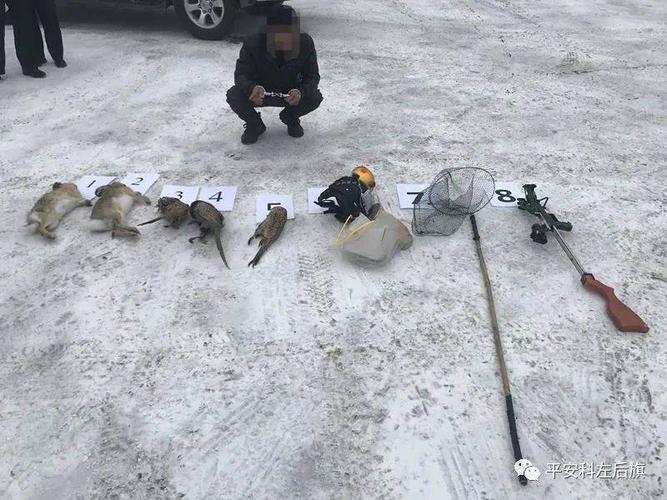 甘旗卡邰某某猎捕野鸡,野兔被抓!