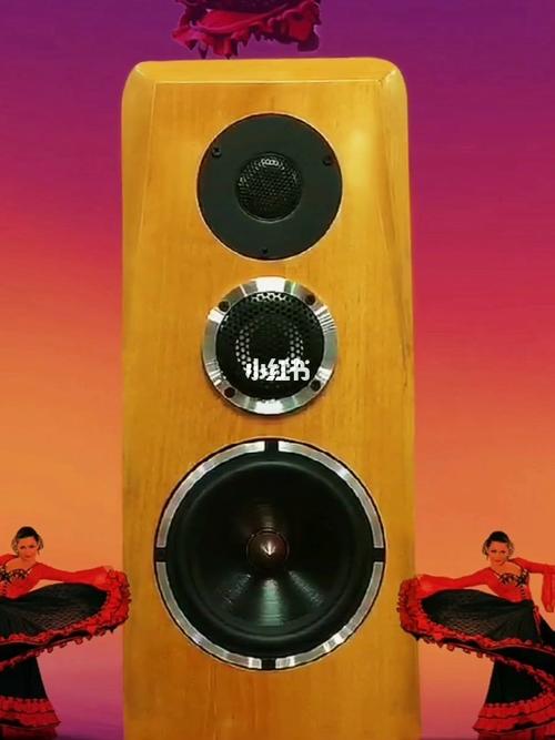 雷蒙斯音响_音响_音乐_汽车音响