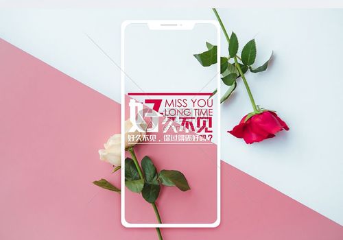 好久不见手机海报配图