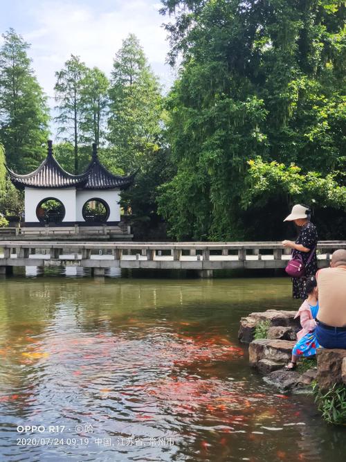 常州红梅公园的夏天!