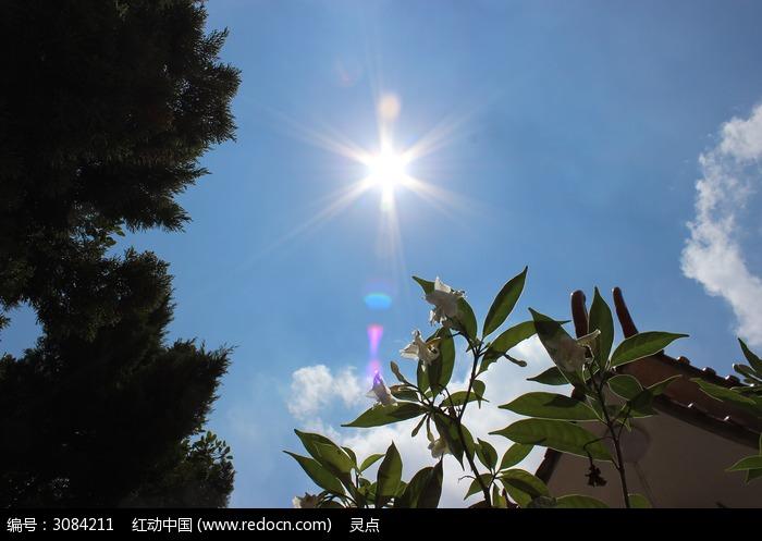 光芒四射的太阳