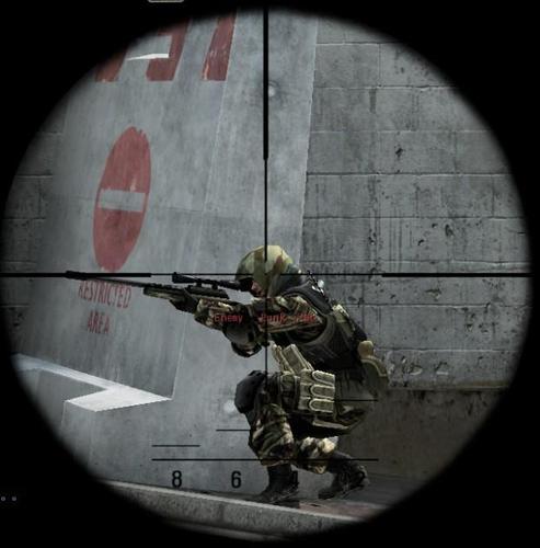 下面是瞄准的时候狙击镜的样子