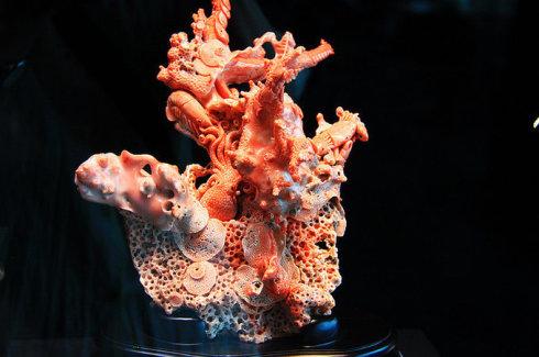 [转载]红珊瑚雕塑