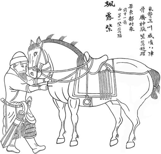 追寻那 "昭陵六骏"