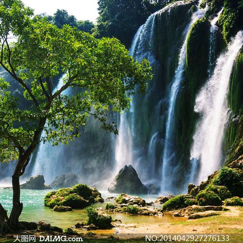 大树与倾泻而下的瀑布摄影高清图片