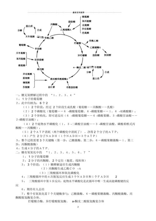 考研生化三羧酸循环记忆口诀之柠檬姑娘口渴了