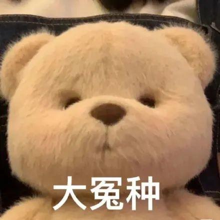 表情包大冤种变形狗勾系列