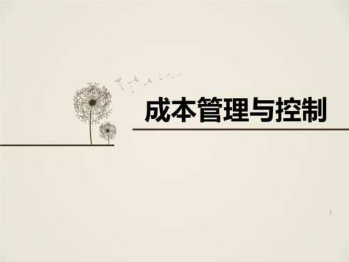 预算知识与成本管控常见问题.ppt