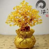 发财树图片大全头像点击鼠标右键下载