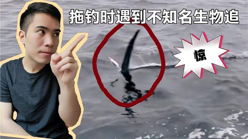 钓友钓鱼时遇到不知名生物追着鱼饵好像钓到了鲨鱼太吓人了