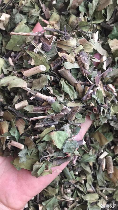 [接骨草批发]接骨草 小驳骨大驳骨价格8元/斤 - 惠农网