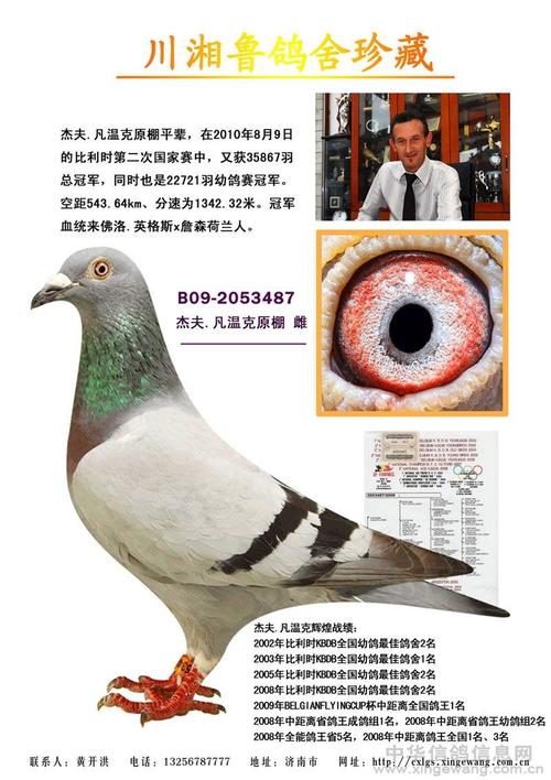 奥林匹克家族 保证金级 拍卖