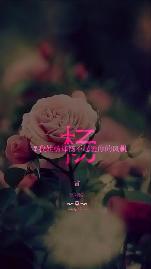 姓氏壁纸.我姓杨.