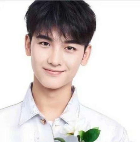 韩国男高中生发型 高中男生发型图片及名称_香香美发手机版