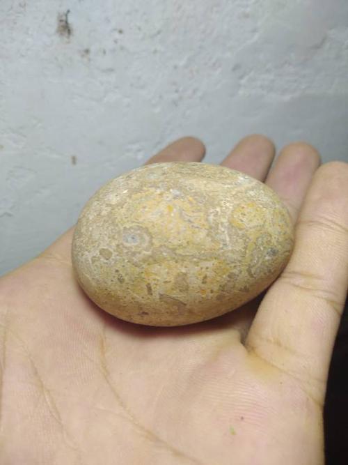 各位朋友这个鸡蛋化石值多少钱?