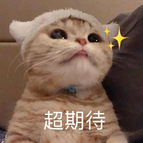 表情包 | 可爱喵星人系列