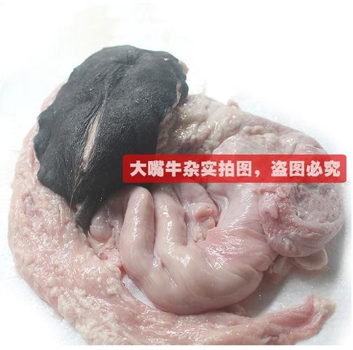 伟博牛欢喜新鲜男用母牛外阴牛子宫二姐碗口大嘴牛杂