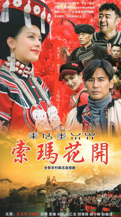 正版农村励志电视连续剧 索玛花开高清dvd碟片光盘王力可 于晓光