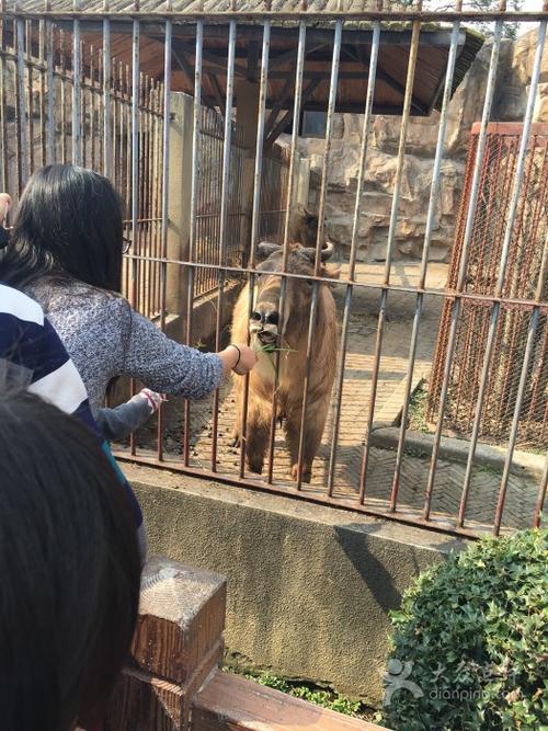 苏州动物园图片 - 第494张