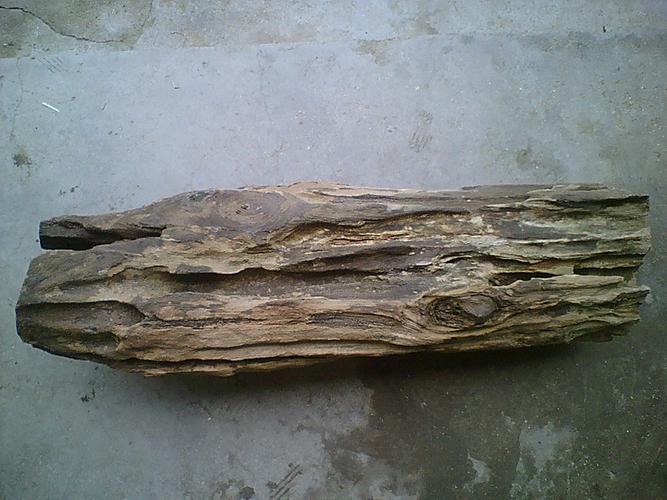 到网上一查原来叫硅化木化石,本人不知这块化石有没有收藏价值,希望业