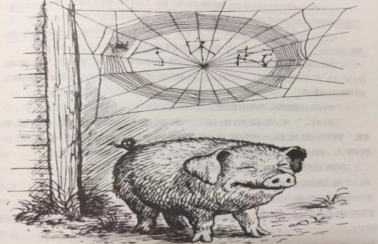 《夏洛的网》:蜘蛛和小猪的故事,写给孩子,也写给大人