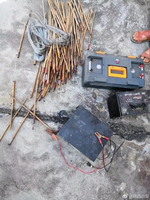 宁强一男子私设电网打野猪,民警当场查获!