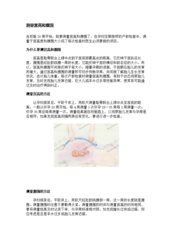 测量宫高腹围.doc