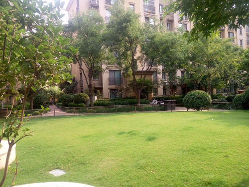 普罗旺世塞纳维斯,国基路,近索凌路-郑州普罗旺世塞纳