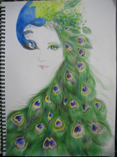 蓝孔雀 彩铅 大二最得意的作品 唐慧