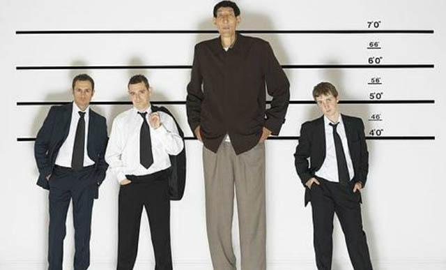 海豚患怪病,难倒医生,海洋馆只好请来身高 2米36的中国第一巨人