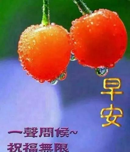 微信群发祝福早安祝福语群发的最美早上好图带字表情