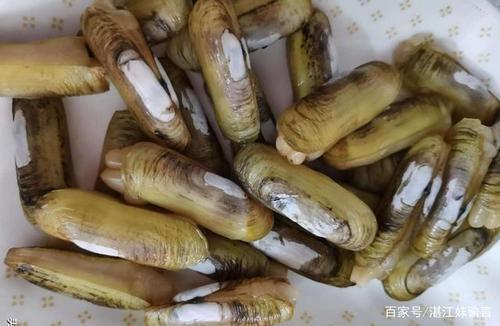 湛江家常菜:胡椒焗指甲螺 鲜美!