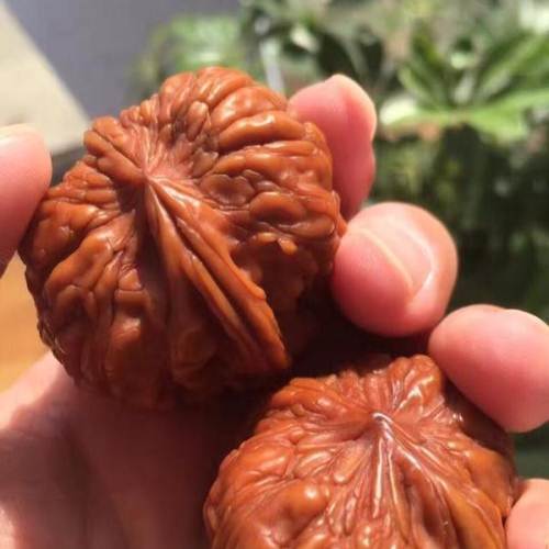 正宗孙家门墩狮子头!