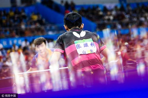 全运会:乒乓球男单开战 张继科vs于何一